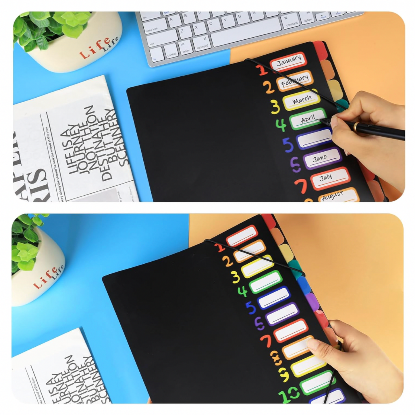 Colour-Coded 12-Pocket Expanding File with Customisable Tabs