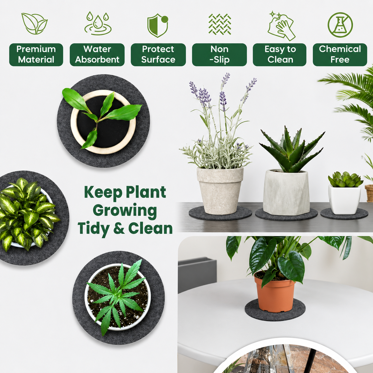 Protective Felt Plant Pot Coasters - Set of 6