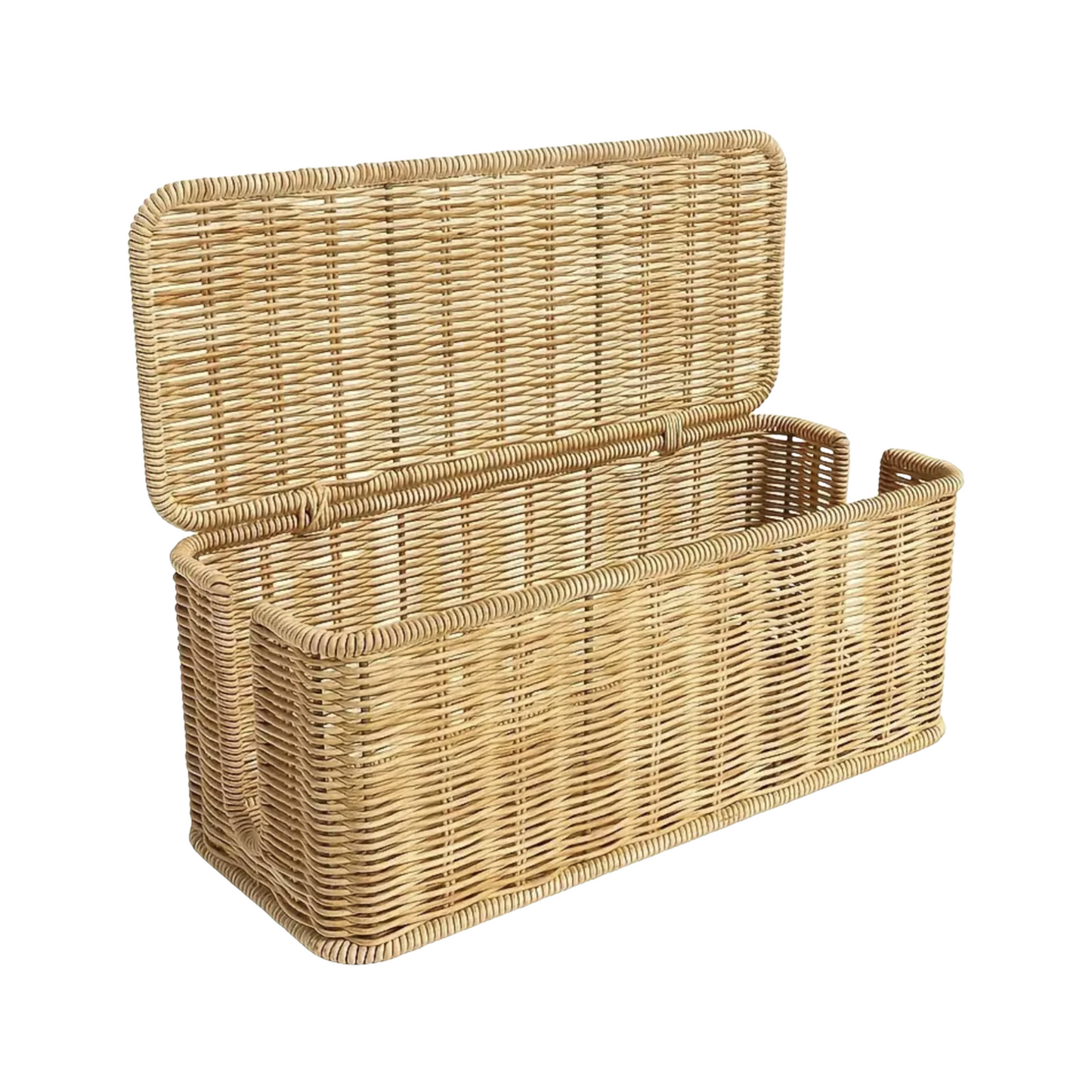 Rattan Cable Management & Storage Box