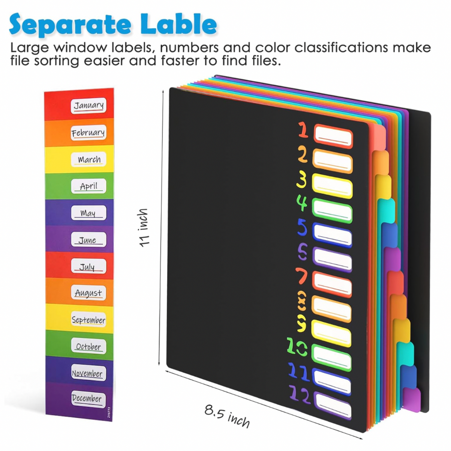 Colour-Coded 12-Pocket Expanding File with Customisable Tabs