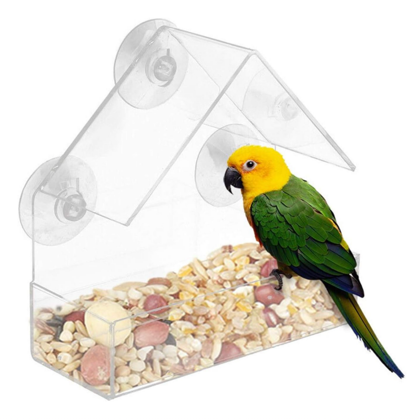 Clear Window Bird Feeder with Suction Cups