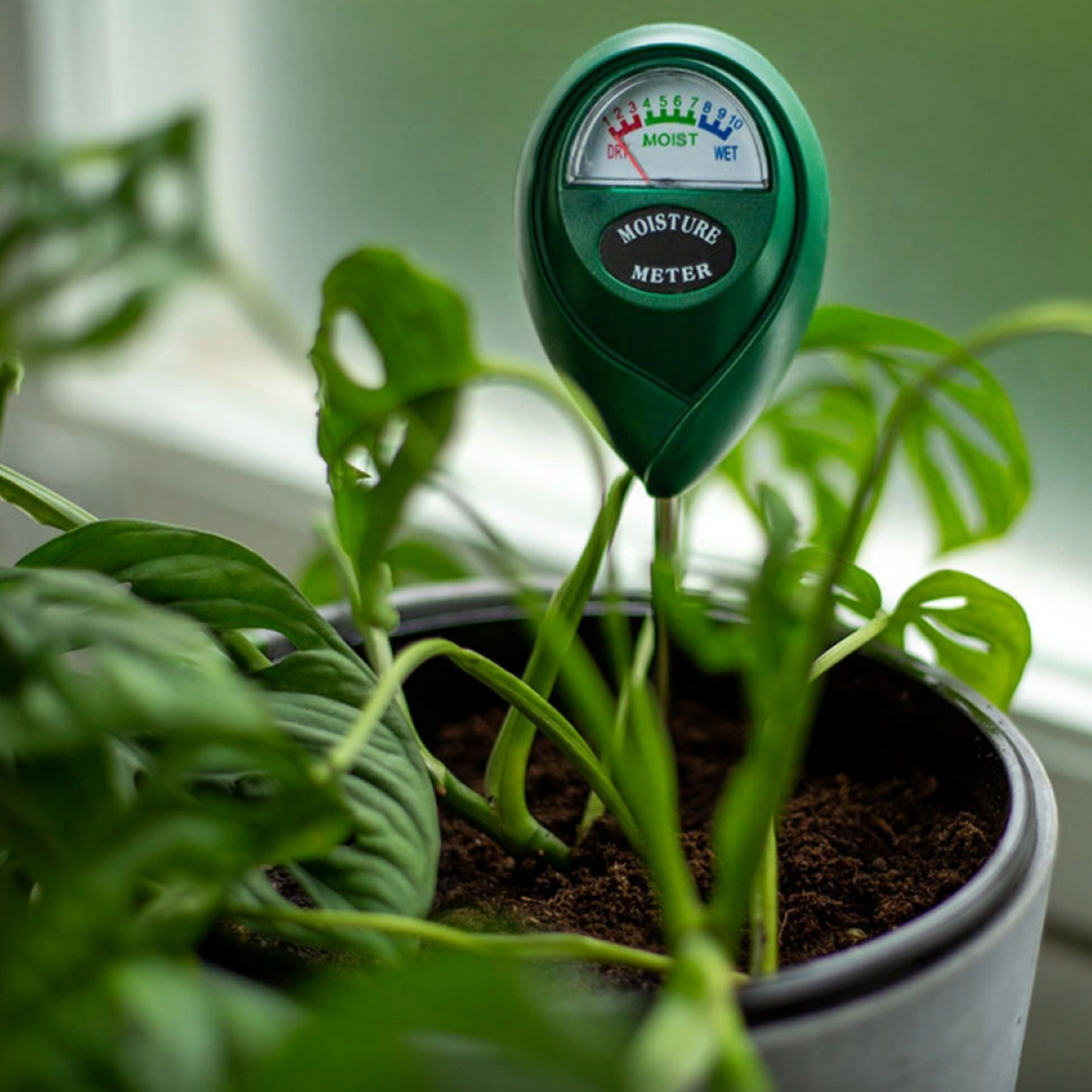 Plant Soil Moisture Meter