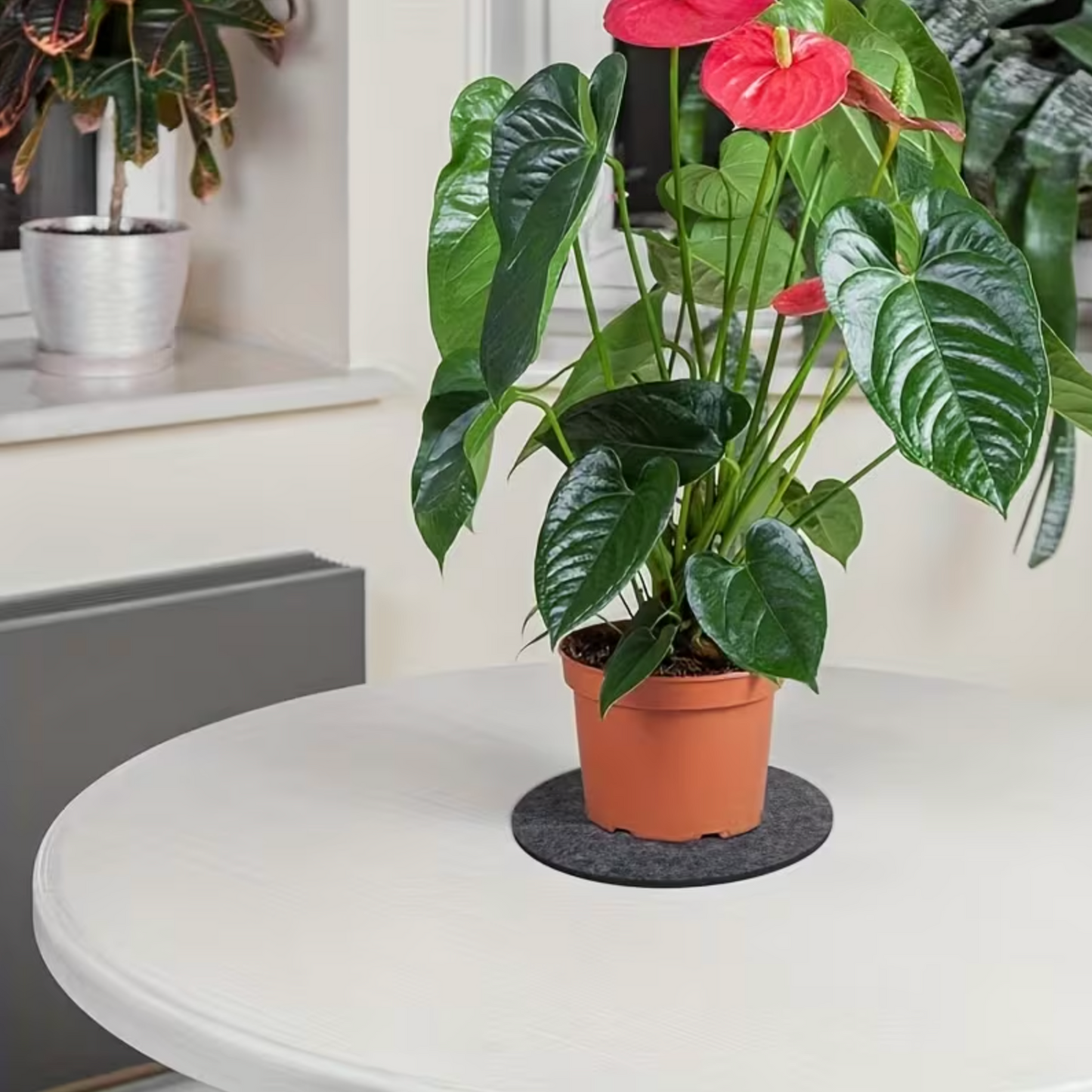 Protective Felt Plant Pot Coasters - Set of 6