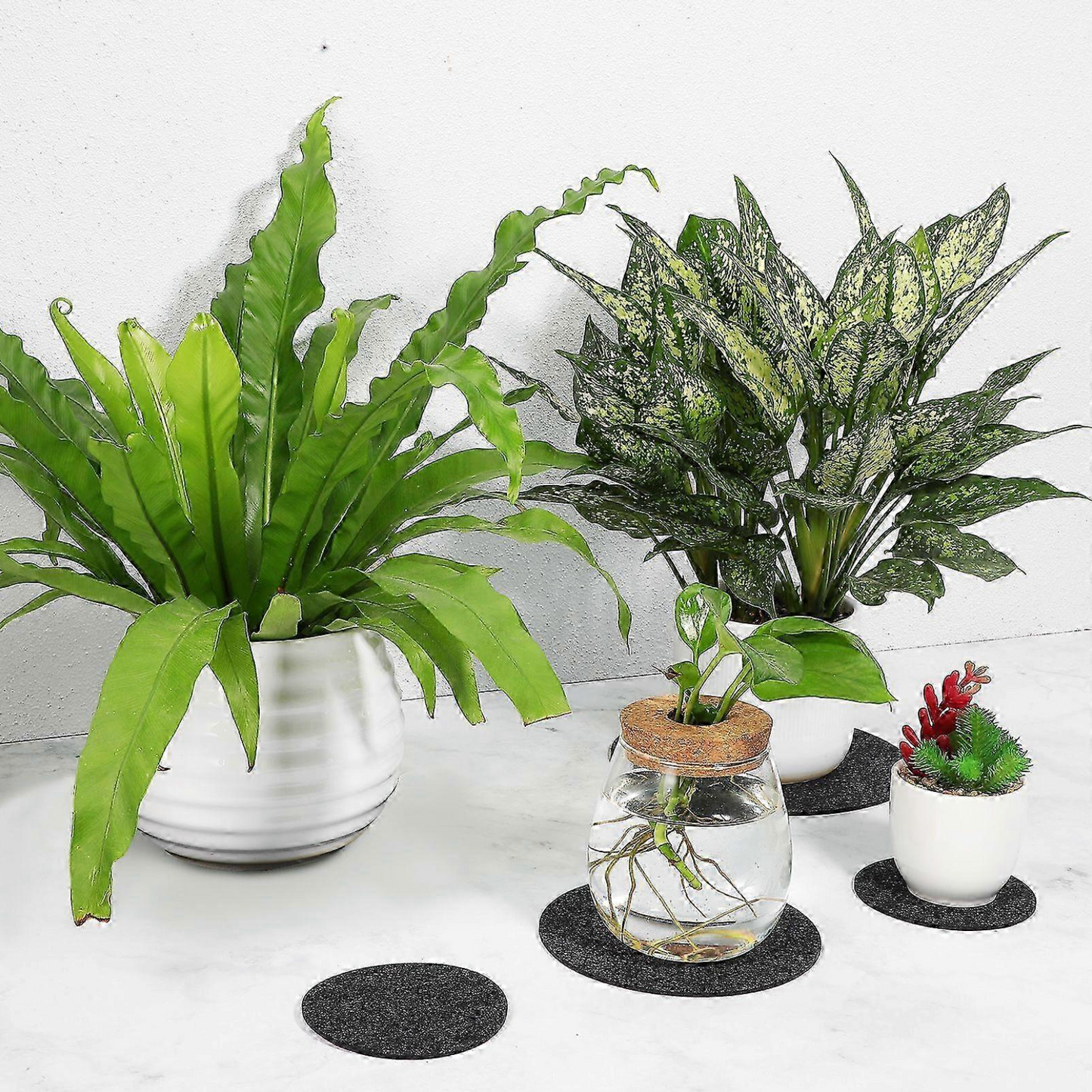 Protective Felt Plant Pot Coasters - Set of 6